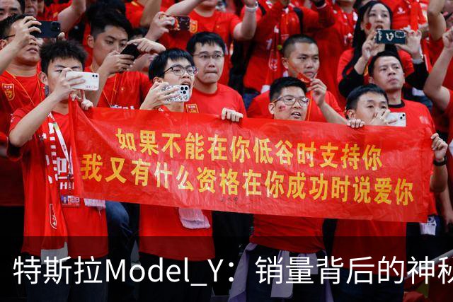 特斯拉Model Y：销量背后的神秘力量